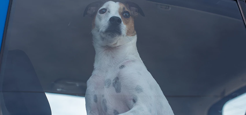 Car Lockout Solutions in Montebello, California